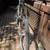 Raleigh mountain bike used $100 3 thumbnail