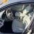 2010 Toyota Corolla - Financing Available! 9 thumbnail