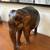 Antique Late 1800s/Early 1900s Hand Carved African  Elephant 3 thumbnail