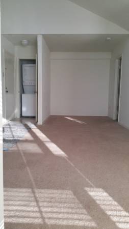 $835 / 452ft2 - Super Cute Studio! Move-In Ready!!!!!!!!!63792041901185121