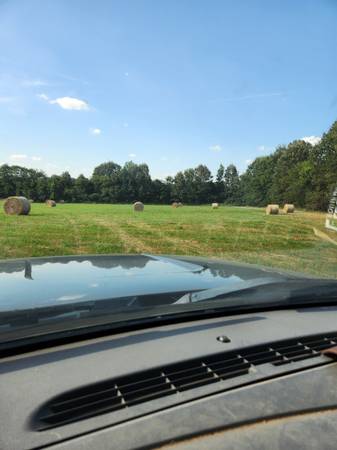 Hay for sale 1
