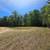 7 Acres (2 Lots) – Buildable Land in Summerfield 3 thumbnail