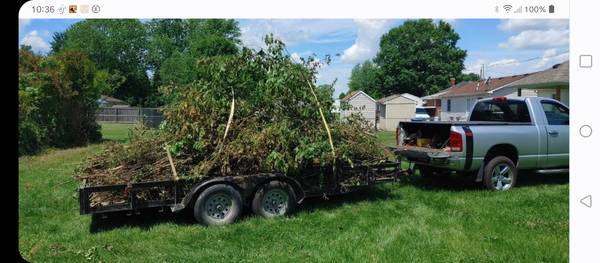 Hauling tree limbs and branches (New Albany)62902779592194122