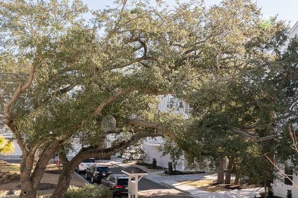 $6800.00 / 4br - Mount Pleasant Dream, Views of Bridge, Great Location Furnished64016105413505124