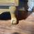 Oak glass doored book case 7 thumbnail