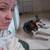 Iris lost dog 6 thumbnail