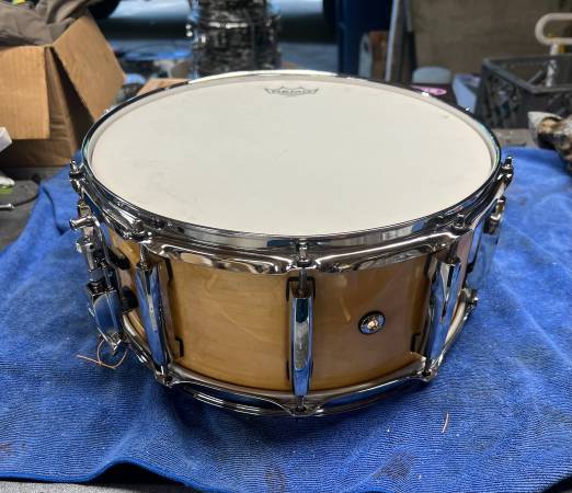 Pearl Masters All Maple SST 14" x 6.5” Bombo de batería - $300 (Bothell)63471461773571122