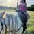 Pony rides on Horses, Unicorns, Minis and Carts 8 thumbnail