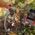 Plumber_Rooter Drain $89__Plomero _Camera Inspection_Leak Repairs_Plumbing_Gas l 13 thumbnail