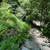Beautiful Sunny Pet-Friendly Cottage in the Redwoods 15 thumbnail