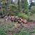 Free Firewood 3 thumbnail