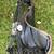 VINTAGE BROOKS B90-3, (EXCELLENT USED BIKE SEAT) 15 thumbnail