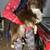 Small toys Australian shepherd 1 thumbnail