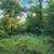 *MOBILES ALLOWED* 6.09 Acres North of Warrenton *PAYMENTS CONSIDERED* 2 thumbnail