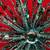 GLITTERED AND SEQUINED BURST ORNAMENT, TURQUOISE (Set of 4) 15 thumbnail