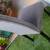 GRAY CHAIRS 5 thumbnail