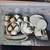 OLIVIA Pattern Lynn's Fine Dining 12 PC Setting Set 2 thumbnail