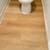 Large 2 bed, 1 bath in Angwin 4 thumbnail