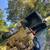 LA Green  House  tree service 1 thumbnail