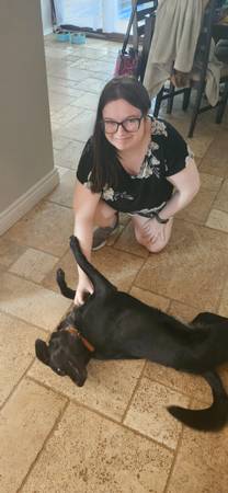 1 $45.00 / Night House Sitting - Passionate, lifelong animal lover 1