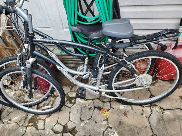 mens/ladies schwinn 1