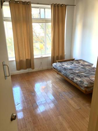 Large room Montrose L bushwick available now