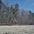 Sport Horse Gelding 2 thumbnail