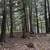 Madeline Island Prestigious 5.6 Acres with 300' of Shoreline 6 thumbnail