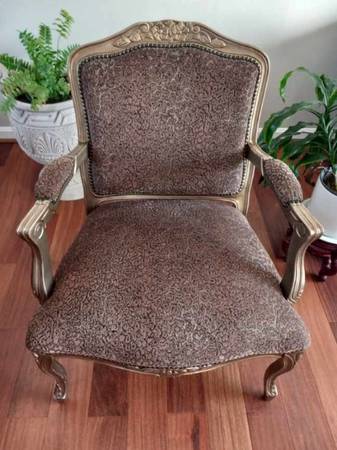 Larg animal print arm chair 1
