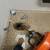Plumber-drain cleaning services-emergency plumbing-leak repair 14 thumbnail
