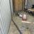 Chickens 1 thumbnail