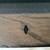 Like new Plank and Hide 8 foot pool table 6 thumbnail