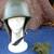 1985 Polish WZ-63 Paratroopers Helmet Excellent Condition Poland Wz.63 3 thumbnail
