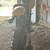 Dirt Bike 4 thumbnail