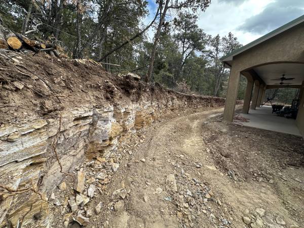 Bobcat / junk/ Cleanup's/ dumptrailer 1