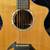 Breedlove C/25 Signature 12-String Guitar 'Master Class' 3 thumbnail