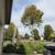 FRANCISCO LANDSCAPING SERVICES 23 thumbnail