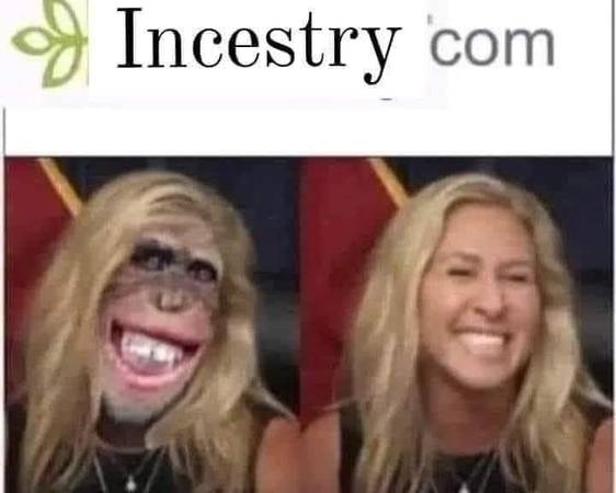 Just Because You Can Shave A Gorillas Back... 1