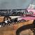 20" Mongoose Slyde freestyle Girls BMX bike 3 thumbnail