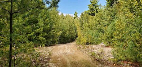 $499,900 97-acre parcel for development or privacy (New Ipswich, NH)63986776562690123