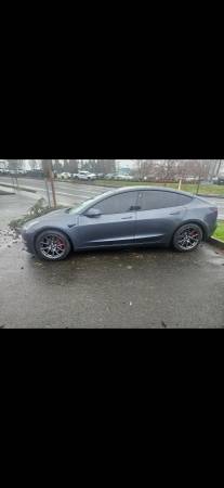 2019 tesla model 3 1