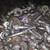 Car Bolts and Nuts , Each Bucket 3 thumbnail