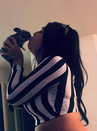 Beautiful chinchilla 1