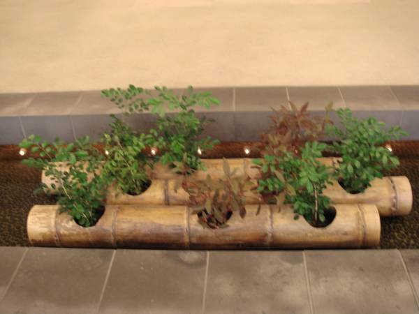 Innovative Landscape Design/Build (SF) 1