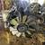 💲★2002-2004 GMC SONOMA - 4.3 L ENGINE - #M18939★💲 1 thumbnail