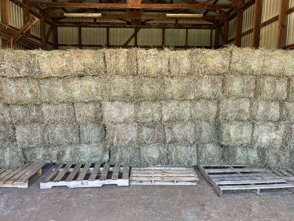 HORSE HAY FOR SALE 1