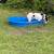 Teddy Roosevelt Terrier 2 thumbnail