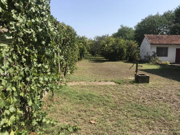 $200 / 3br - 1600ft2 - AN OLDER HOME AND 800M2 CONSTRUCTION LOT 30 MIN.FROM SEA (CAPLJINA)64301558350850124