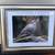 Fascinating Northern Flicker Woodpecker Art In A Brand New Frame 4 thumbnail