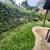 4 Bed, 2 Bath Home in Clairemont: Solar + Car Charger + Grass Backyard 21 thumbnail